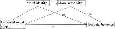 Positive impacts of perceived social support on prosocial behavior: the chain mediating role of moral identity and moral sensitivity